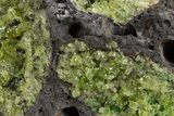 Peridot in Basalt - Arizona #324706-1